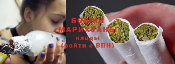 мет Няндома