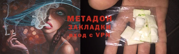 прущие грибы Нязепетровск