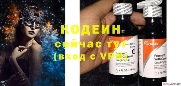 мет Няндома