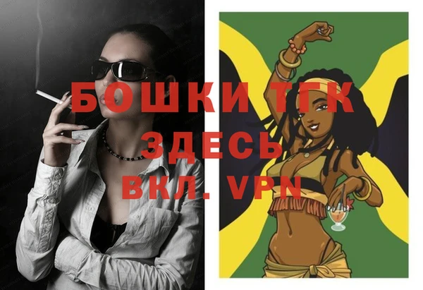 мет Няндома