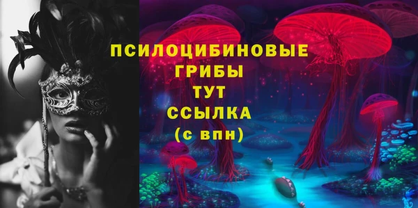 экстази Новодвинск