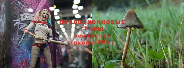 MESCALINE Нягань