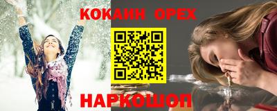 дмт Кингисепп