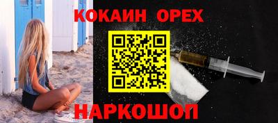 дмт Кингисепп