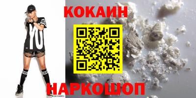 дмт Кингисепп