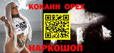 дмт Кингисепп