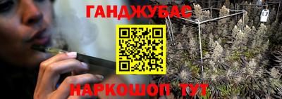 дмт Кингисепп