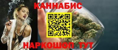 дмт Кингисепп