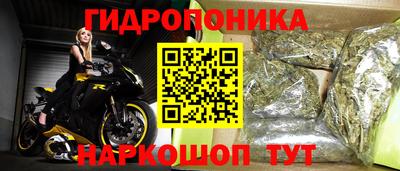PSILOCYBIN Кинель