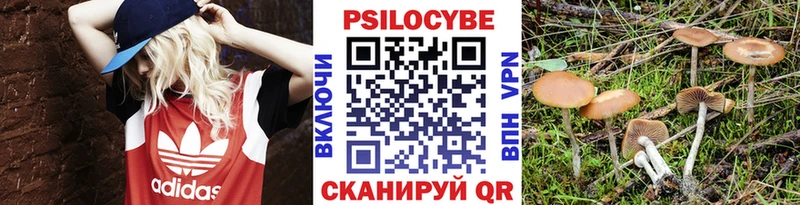 Псилоцибиновые грибы Magic Shrooms Усть-Джегута