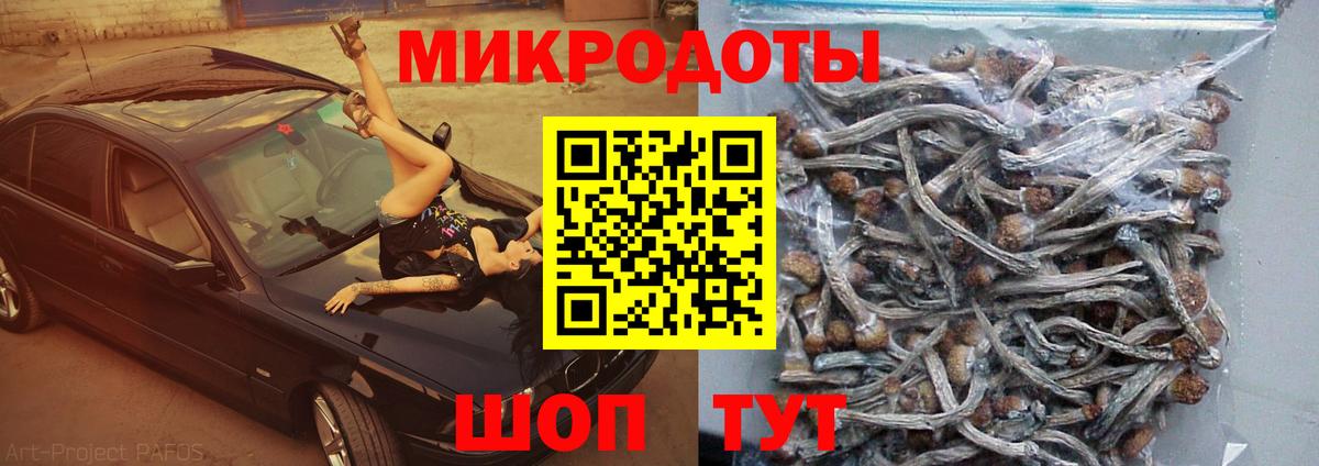 Усть-Джегута  Псилоцибиновые грибы мухоморы  Псилоцибиновые грибы Cubensis  Вход с VPN 
