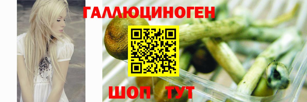 Псилоцибиновые грибы Magic Shrooms Усть-Джегута